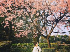 -名古屋城