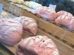 -奈雪的茶(石家庄万象城店)