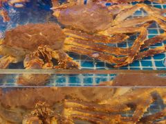 -驻海渔市(置信店)