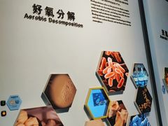 -中国杭州低碳科技馆