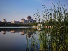 -莲花池公园