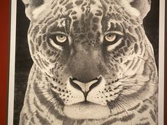 -江苏省美术馆(长江路新馆)