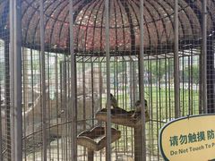 -北戴河集发农业梦想王国