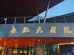 -合肥大剧院