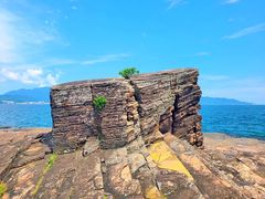 -东平洲海岸公园