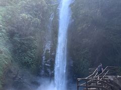 -莫里热带雨林景区