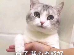 -江户前寿司(好运街店)