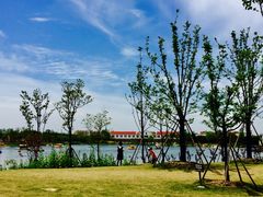 -上海长兴岛郊野公园