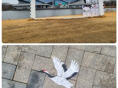 -盐城丹顶鹤湿地生态旅游区