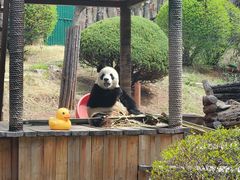 -大连森林动物园