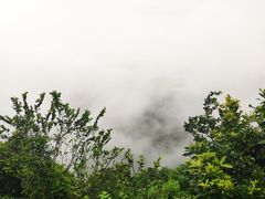 -广州市帽峰山景区