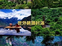 -白鹭湾湿地公园