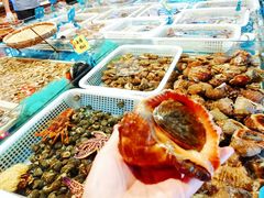-旺角小渔村·海肠捞饭开创者(环山路店)