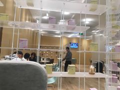 -奈雪的茶(国金中心店)