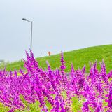 成都旅游｜这里拍照很出片