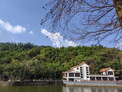 -深圳仙湖植物园