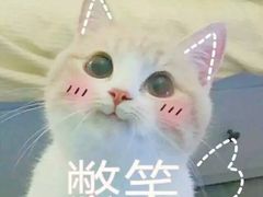 -瑞幸咖啡(尼盛尚品汇店)