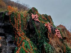 -周口店坡峰岭风景区
