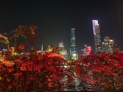 -珠江夜游广州塔·中大码头