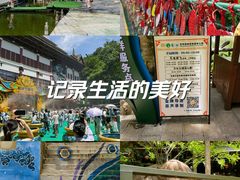 -西双版纳原始森林公园