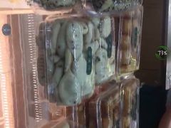 -泸溪河桃酥(秦淮夫子庙一店)