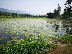 -御霞苑泥烩鸡休闲农庄