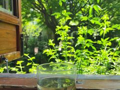 -郭庄茶室