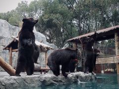 -上海野生动物园
