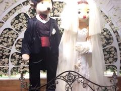 -济州岛泰迪熊博物馆