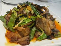 -金熊猫川菜餐厅