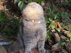 -劲松口腔医院(蓝色港湾院)