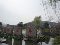-香雪海