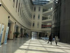 -首都医科大学附属北京天坛医院