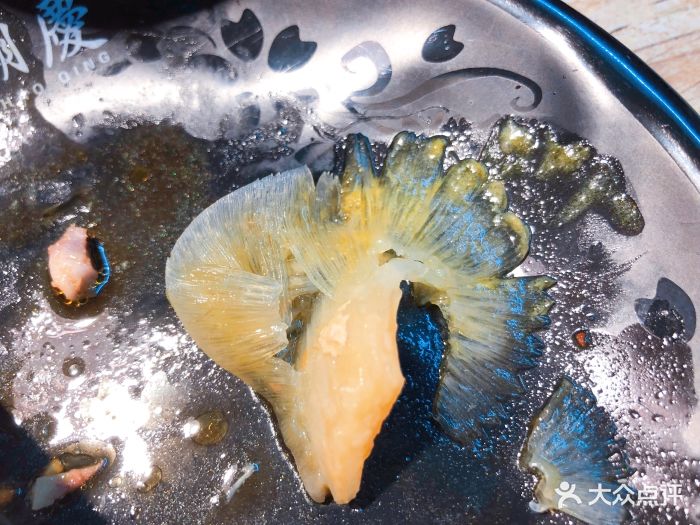 潮庆海皇汤(朝凤路店)小金钩鱼翅图片 - 第1张