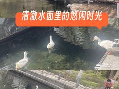 -水磨沟公园