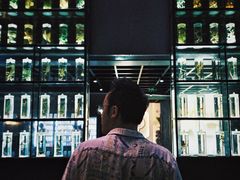 -广东中医药博物馆