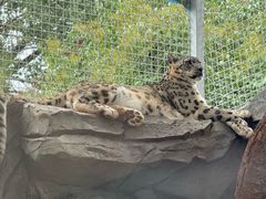 -青藏高原野生动物园