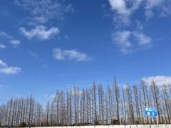 -光明驾校·学车·陪驾(川沙店)