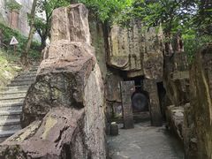 -铁山坪森林公园