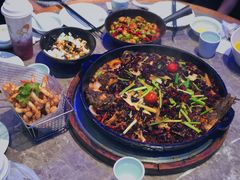 -老板恋上鱼(恒隆广场店)