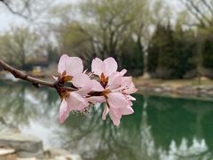 -颐和园