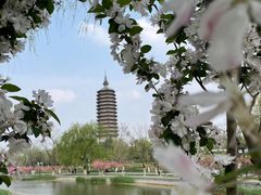 -西海子公园