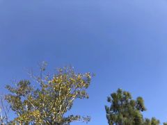 -瑶湖郊野森林公园