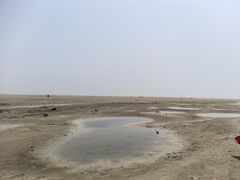 -北海金海湾红树林生态旅游区