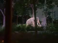-夜间野生动物园