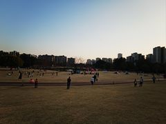 -牛岗山公园