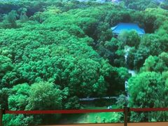 -湖锦酒楼·32年地道湖北菜(光谷店)