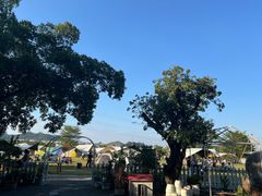 -长洲岛都市农业公园