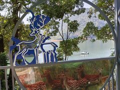 -广州市流溪河国家森林公园