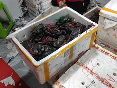 螃蟹-凤凰路何眼镜香辣蟹(花果园店)